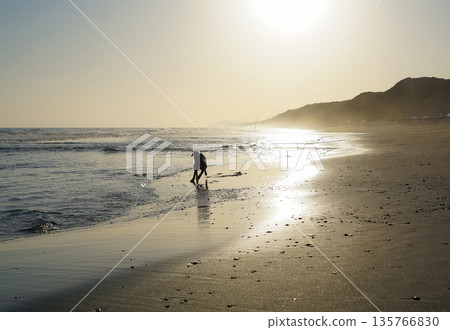 狗狗在海灘上嬉戲 135766830