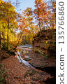 Autumn Creek Bed Covered in Fallen Leaves 135766860