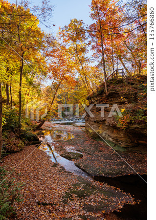 Autumn Creek Bed Covered in Fallen Leaves Autumn Creek Bed Covered in Fallen Leaves 135766860