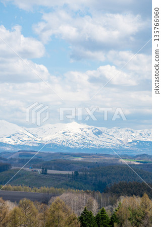 春暖花開的山丘和十勝山的皚皚雪峰 春暖花開的山丘和十勝山的皚皚雪峰 135766960