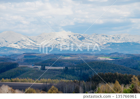 春意盎然的山丘和白雪皚皚的十勝山山頂 135766961