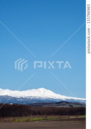 Hilly areas and snowy mountains on a sunny spring day, Mount Daisetsu 135766963
