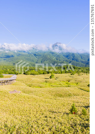 Shiretoko Goko Elevated Boardwalk Shiretoko Goko Elevated Boardwalk 135767691