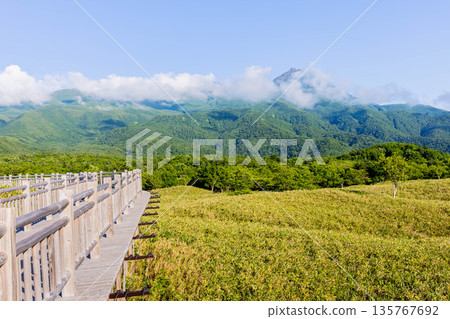 Shiretoko Goko Elevated Boardwalk 135767692