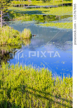 Shiretoko Iko Shiretoko Iko 135767695