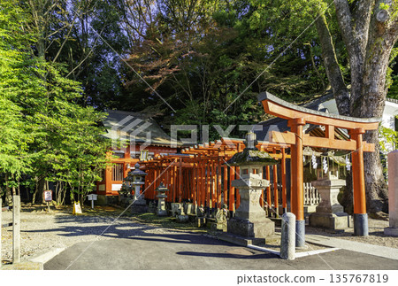 栃木縣宇都宮市初立稻荷神社宇都宮二荒山神社 135767819