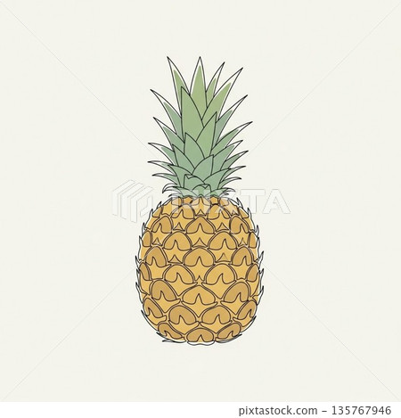 Pineapple illustration 135767946