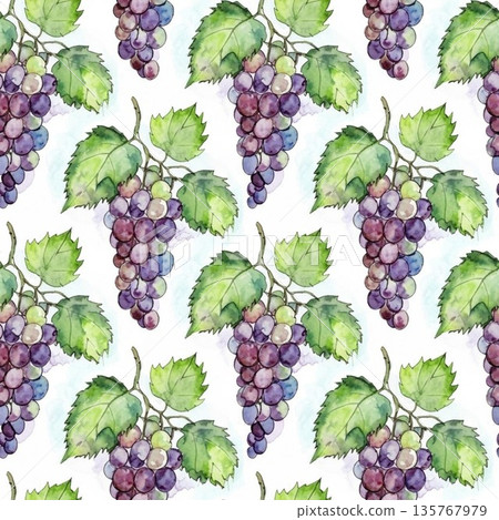 葡萄插圖 135767979