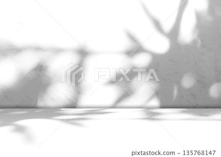 Background Floor Shadow Wall Kitchen Concrete White Texture Light Texture Abstract Mockup Product Marble Room Studio Display Plant Cement Minimal Shelft Bar Silhouette Leaves Backdrop Vintage. 135768147