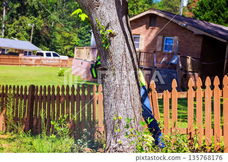 Worker cuts down tree in backyard close to house while sun shines brightly Worker cuts down tree in backyard close to house while sun shines brightly 135768176