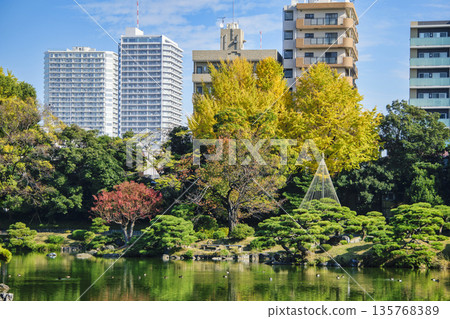 東京都江東區清澄庭園,中之島大泉,秋景,都指定風景名勝 東京都江東區清澄庭園,中之島大泉,秋景,都指定風景名勝 135768389