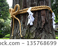 Paper streamers and sacred ropes at shrines 135768699
