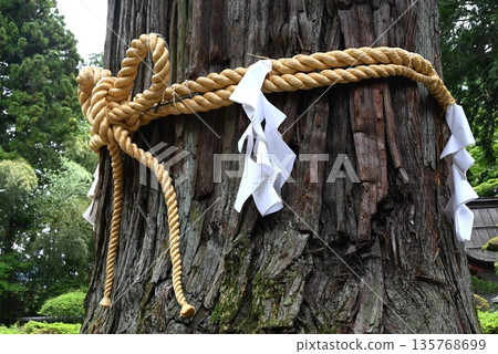 Paper streamers and sacred ropes at shrines Paper streamers and sacred ropes at shrines 135768699