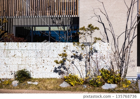 園藝 園藝 135768736