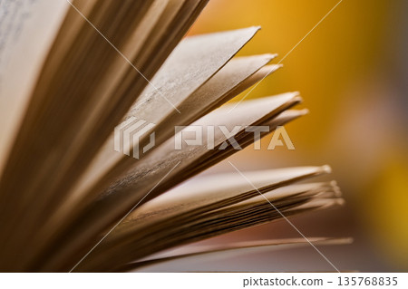 Detailed view of aged paper layers and book binding with soft focus and warm lighting Detailed view of aged paper layers and book binding with soft focus and warm lighting 135768835