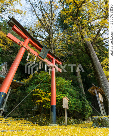 岩戶大千葉神社的秋天 岩戶大千葉神社的秋天 135768850