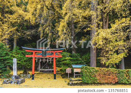 岩戶大千葉神社的秋天 岩戶大千葉神社的秋天 135768851