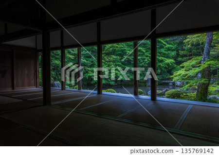 蓮華寺及其綠色的楓樹 蓮華寺及其綠色的楓樹 135769142