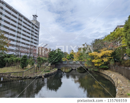 仙台堀川公園 2021 年 11 月 仙台堀川公園 2021 年 11 月 135769359