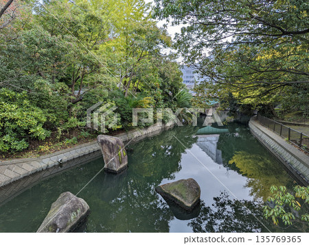 仙台堀川公園 2021 年 11 月 135769365