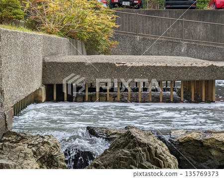 Sendai Horikawa Park November 2021 135769373