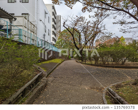 仙台堀川公園 2021 年 11 月 仙台堀川公園 2021 年 11 月 135769378