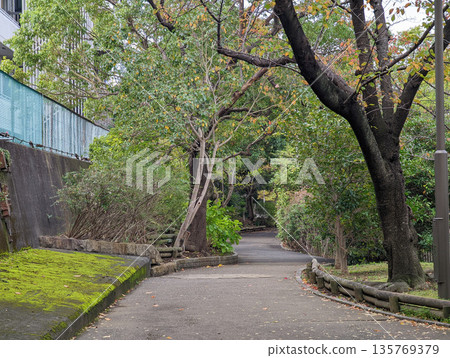 仙台堀川公園 2021 年 11 月 仙台堀川公園 2021 年 11 月 135769379