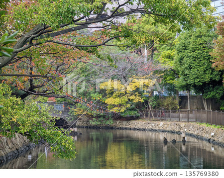 仙台堀川公園 2021 年 11 月 仙台堀川公園 2021 年 11 月 135769380