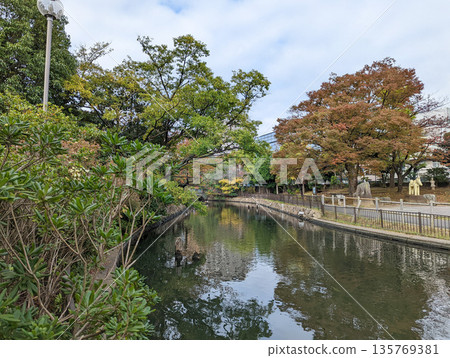仙台堀川公園 2021 年 11 月 仙台堀川公園 2021 年 11 月 135769381