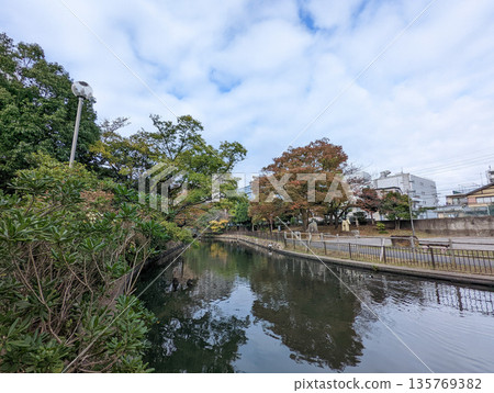 仙台堀川公園 2021 年 11 月 仙台堀川公園 2021 年 11 月 135769382