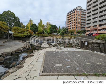 仙台堀川公園 2021 年 11 月 135769388