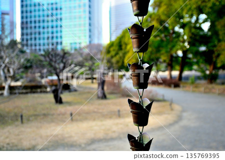Spring: White plum blossoms bloom in Hamarikyu Gardens, Flower Garden Rest Area, and the rain chain 135769395