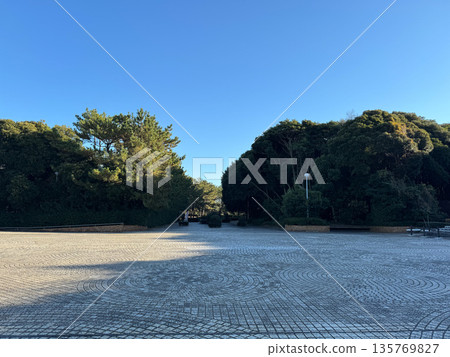 Inage Seaside Park December 2023 Inage Seaside Park December 2023 135769827