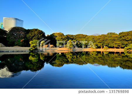 View of skyscrapers from Hamarikyu Gardens View of skyscrapers from Hamarikyu Gardens 135769898