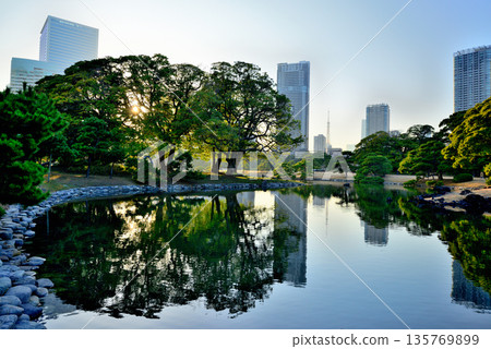 View of skyscrapers from Hamarikyu Gardens View of skyscrapers from Hamarikyu Gardens 135769899