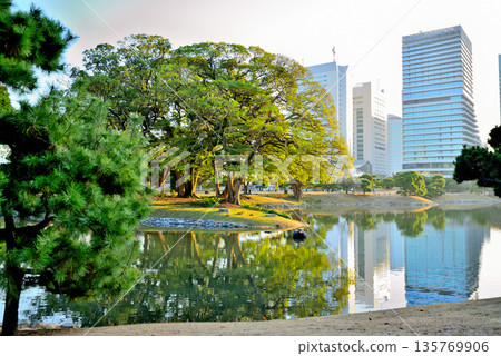 從濱離宮恩賜庭園眺望摩天大樓 從濱離宮恩賜庭園眺望摩天大樓 135769906