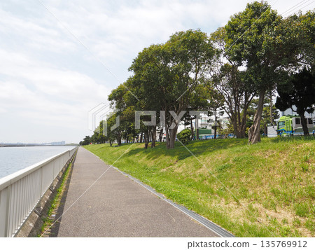 京濱島翼公園 2023 年 5 月 135769912