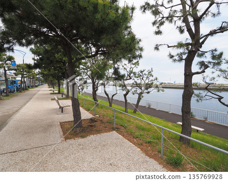 Keihinjima Tsubasa Park May 2023 Keihinjima Tsubasa Park May 2023 135769928