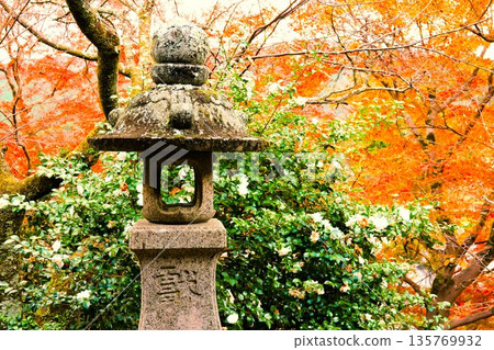 Stone lantern wrapped in autumn leaves 135769932