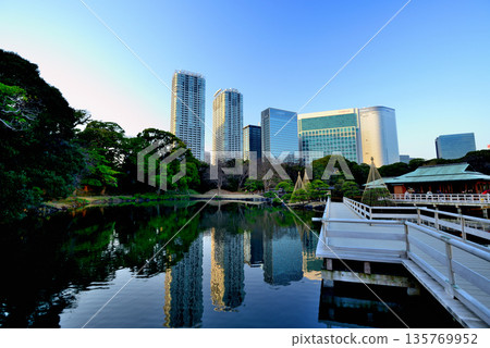 View of skyscrapers from Hamarikyu Gardens View of skyscrapers from Hamarikyu Gardens 135769952