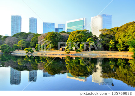 View of skyscrapers from Hamarikyu Gardens 135769958