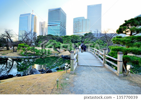View of skyscrapers from Hamarikyu Gardens View of skyscrapers from Hamarikyu Gardens 135770039