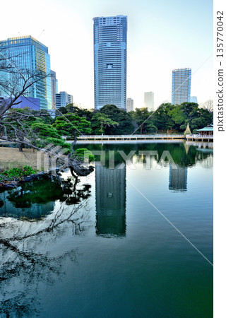 View of skyscrapers from Hamarikyu Gardens 135770042