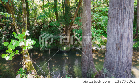 A mountain stream found on a mountain trail 135770302