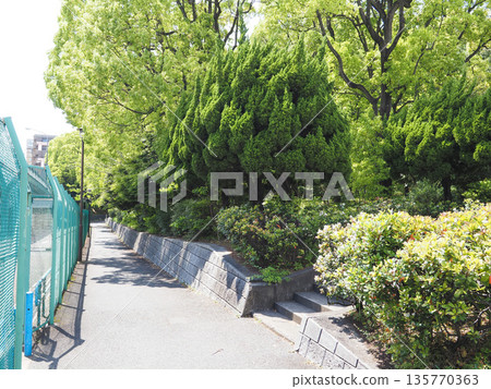 Heiwa no Mori Park 2023 Heiwa no Mori Park 2023 135770363