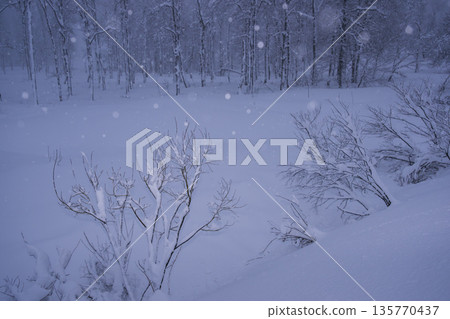 snowy winter night 135770437