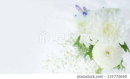 白色菊花花束,新鮮花束背景素材,供奉鮮花 白色菊花花束,新鮮花束背景素材,供奉鮮花 135770640