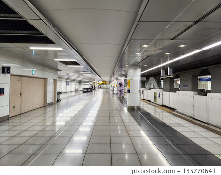 Haneda Airport Terminal 3 Station 2022 135770641