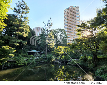 坎塞南公園，2022年10月清晨 135770670