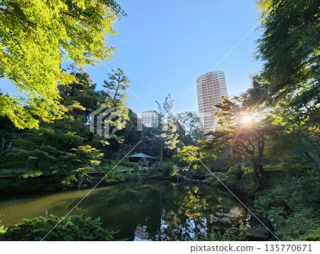 坎塞南公園，2022年10月清晨 135770671